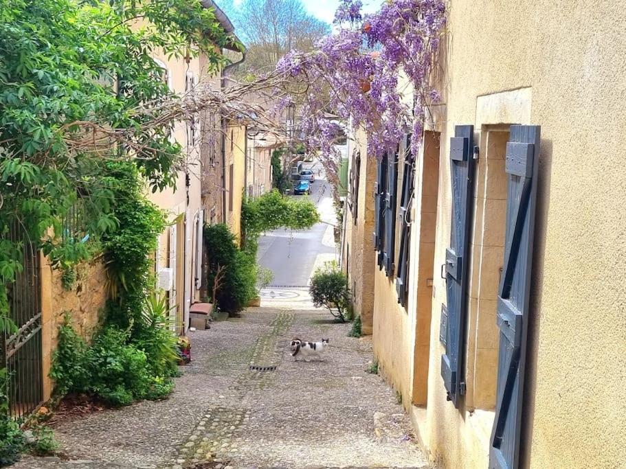Romantique Room St Michel De Lanes Saint-Michel-de-Lanes Bagian luar foto